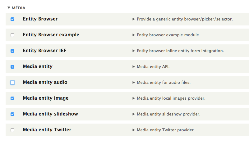 Les modules de la suite Media Entity