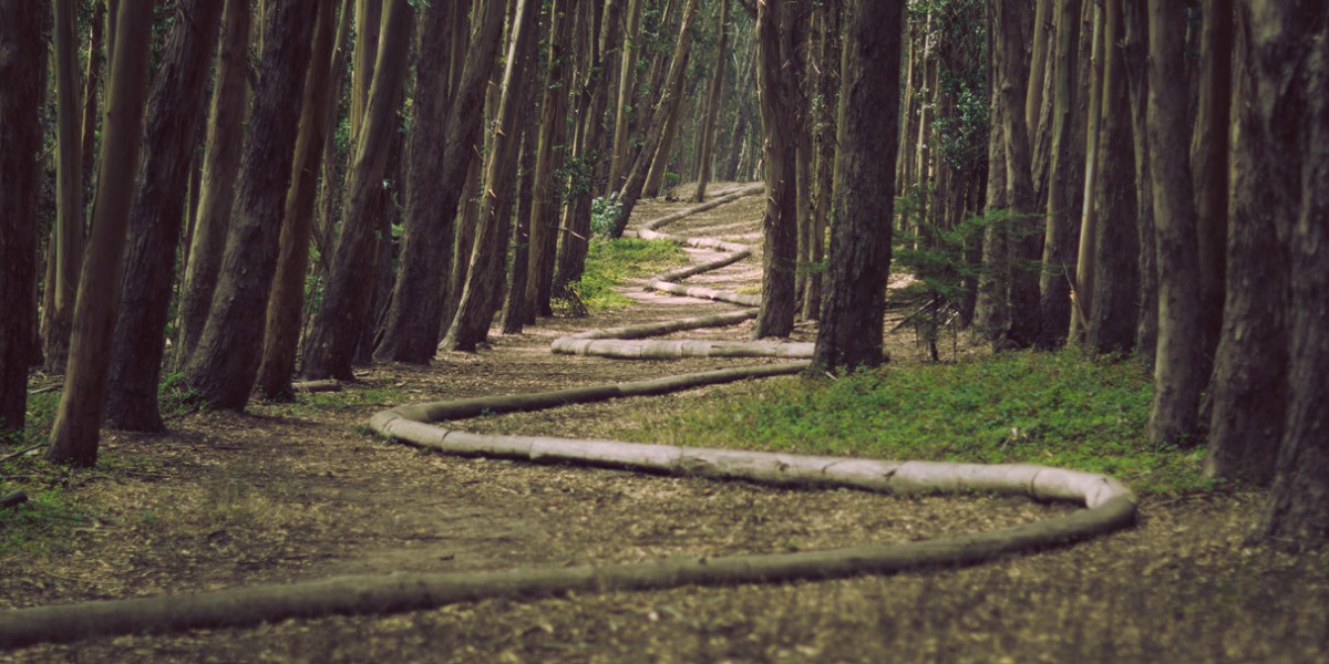 Un sentier dans une forêt