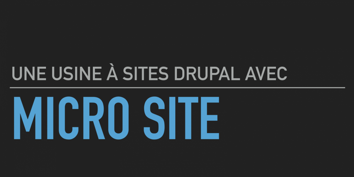 Une usine à sites Drupal avec Micro Site